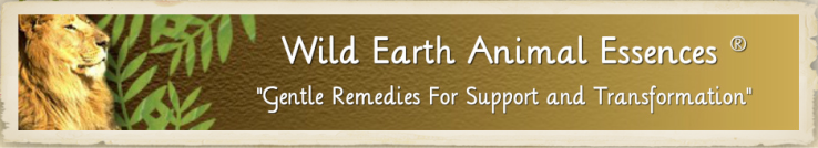 Wild Earth Animal Essences &reg; -- Company Site